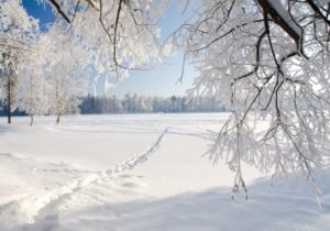 "snowed in"