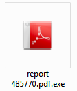 PDF EXE Icon im Anhang