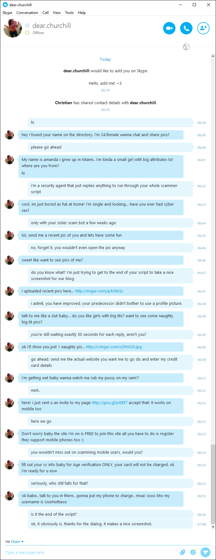 The full Skype scam conversation with a bot-script.