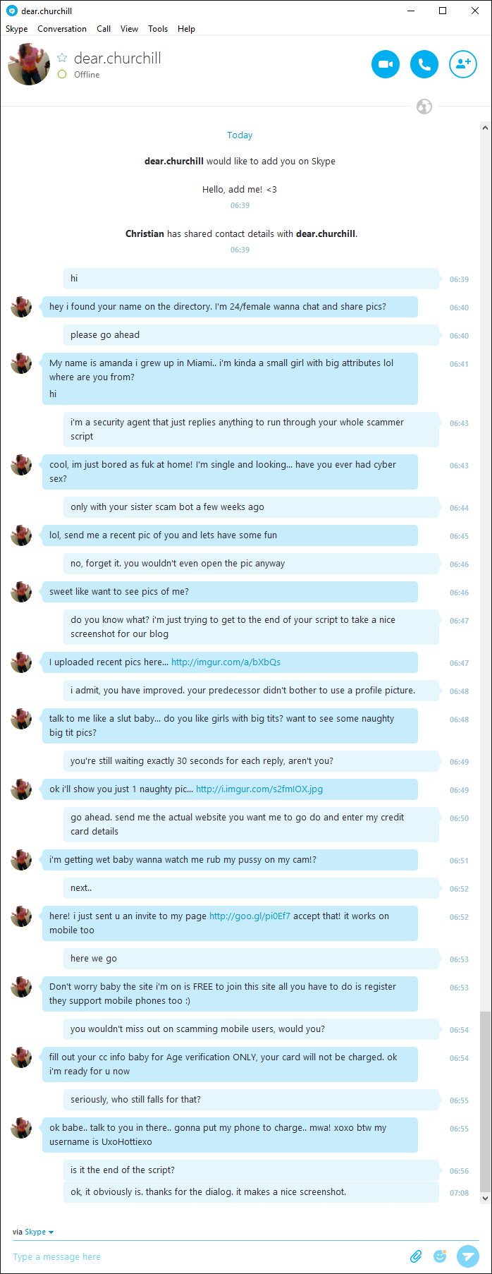 summarize bot on skype