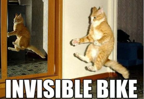 cat%invisible%20bike