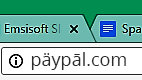 Beispiel für Punycode-Phishing mit PayPal